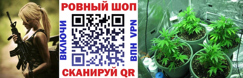 Наркошоп купить Бутират  МЕФ  Галлюциногенные грибы  МАРИХУАНА  А ПВП  КОКАИН  Бор
