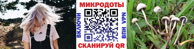 Псилоцибиновые грибы Magic Shrooms  Купить  Бор 